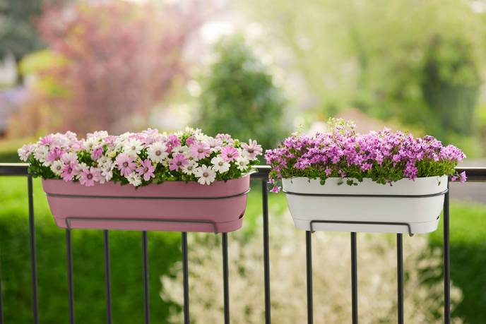 vibia campana balkonkasten allin1 70cm puderrosa